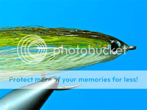 Atlantic Herring | Global FlyFisher