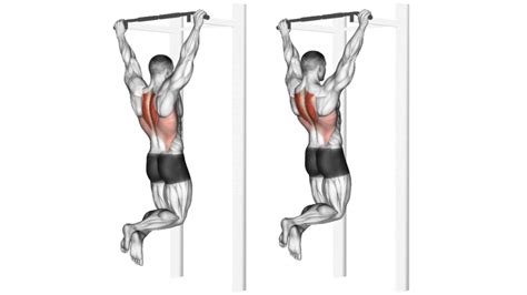 Scapular Pull Ups: How To Do, Muscles Worked & Benefits