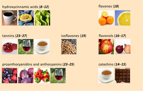 Polyphenols: Contributors to Good Health – Part 2 - ChemistryViews