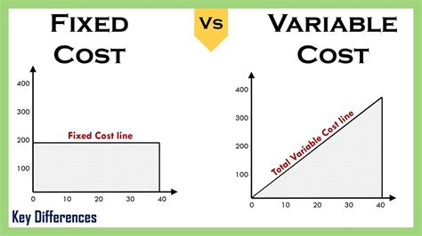 Fixed Cost Vs Variable Cost | Difference Between them with Example ...