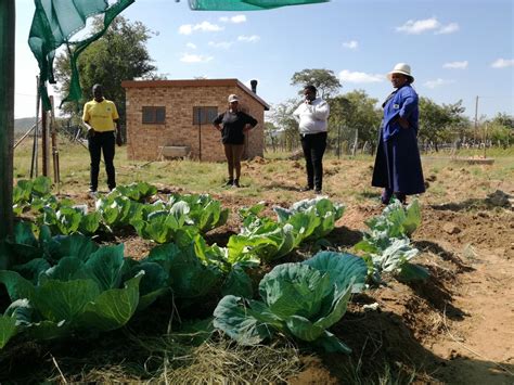 Smart agriculture farming in Leyden, Limpopo | Global Climate Change