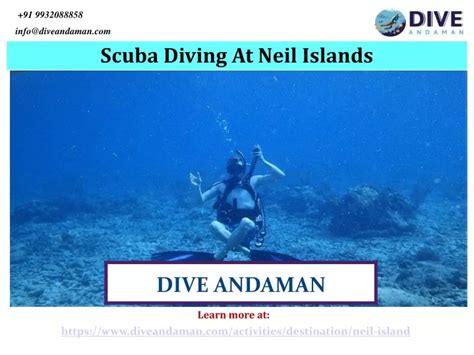 PPT - Best Scuba Diving At Neil Island PowerPoint Presentation, free ...