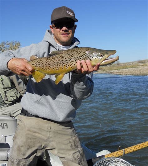 Wyoming Fly Fishing Guides - 307 River Sports