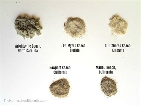 beach sand 11 - The Homeschool Scientist