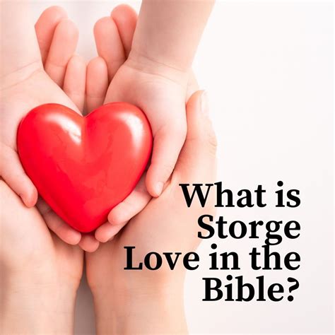 What is storge love?