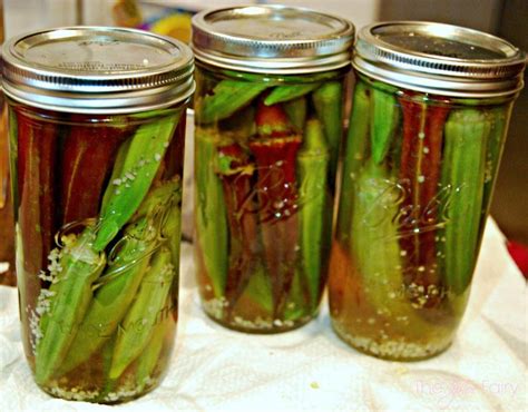 Easy Pickled Okra | The TipToe Fairy