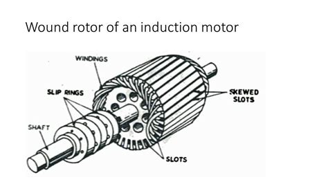 Beautiful Squirrel Cage Motor Diagram 3 Speed Wiring