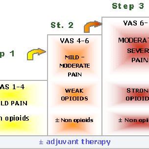 Pain ladder proposed by WHO (1996). | Download Scientific Diagram