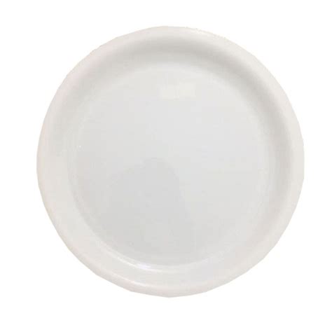 Buy Plain Dinner Plates - 12 Inch - Made of Plastic - Decornt.com