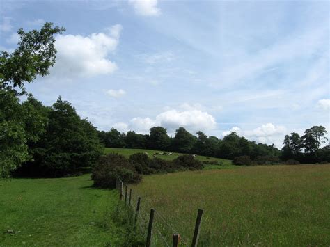 Lower Slopes of Senlac Hill © Simon Carey :: Geograph Britain and Ireland