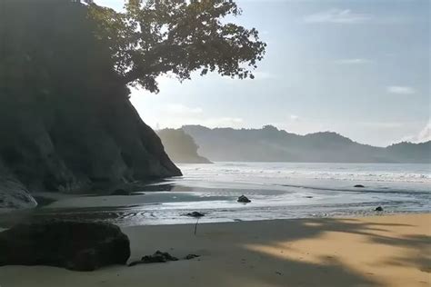 Punya Kegiatan Snorkeling dan Diving, Pantai di Malang Ini Cocok untuk ...