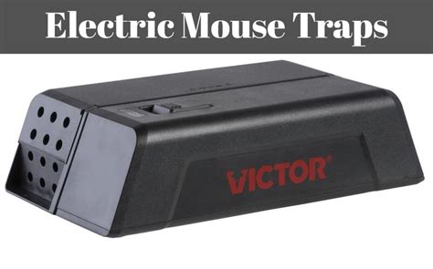 Electric Mouse Traps | Insect Hobbyist