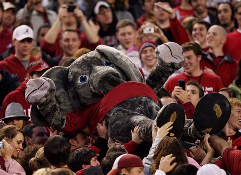 Represent!: Power Ranking The Mascots Of The SEC | Bleacher Report ...