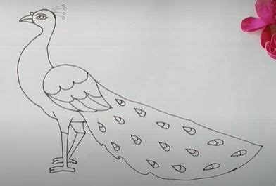 How to Draw a Peacock Easy – Step by Step for Beginners | Easy love ...