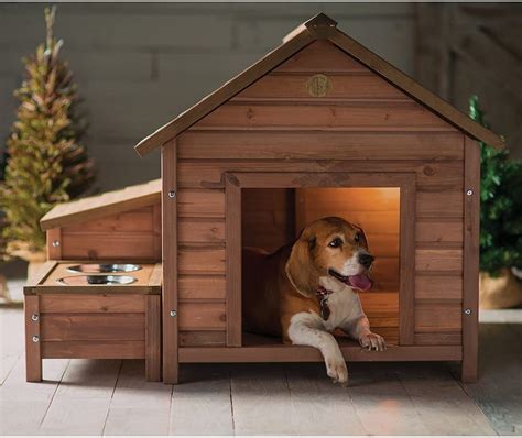 Pet house – Artofit