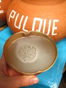 Pulque - HomeBrewing.com | Mexican food recipes, Mexican food recipes ...