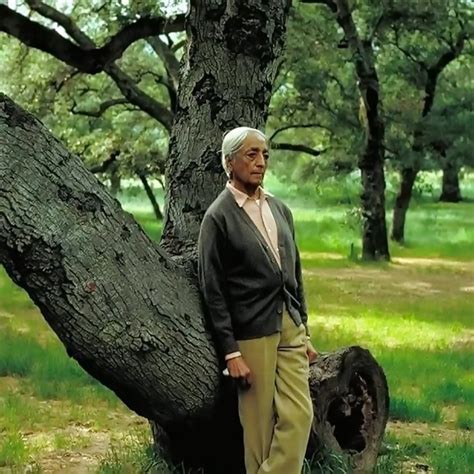 And Krishnamurti laughed… | Osho News