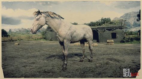 Andalusian Horse | RDR2 Horse Breeds Coats, Locations & Stats