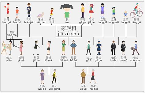 CIS Family Tree 中国家族树 Diagram | Quizlet