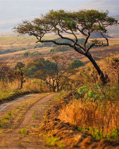 Nyika Plateau National Park, Malawi - Where The Water Comes From ...