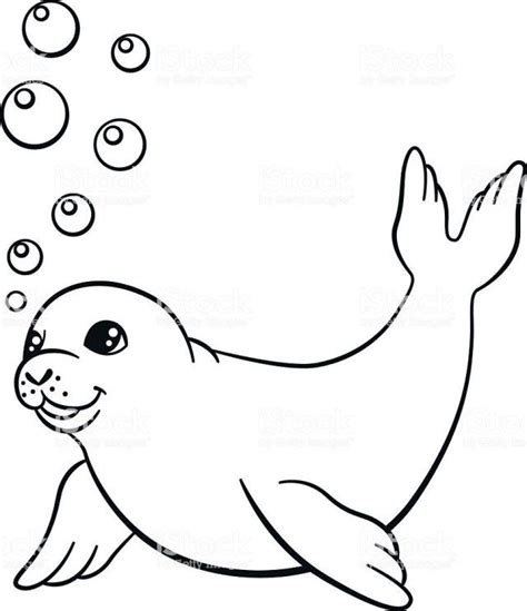 Exclusive Seal Coloring Pages for Kids