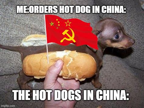 Hot dogs in china be like... - Imgflip