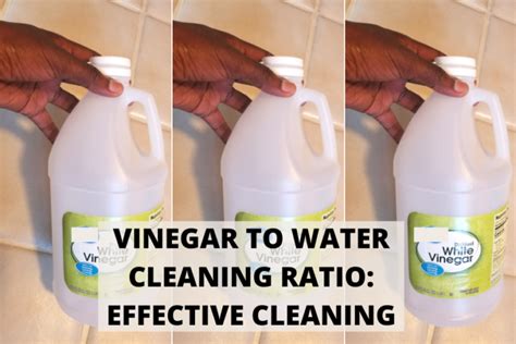 Vinegar to Water Cleaning Ratio: Effective Cleaning