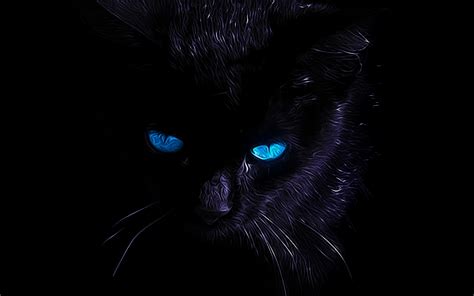 Black Cat wallpaper 7