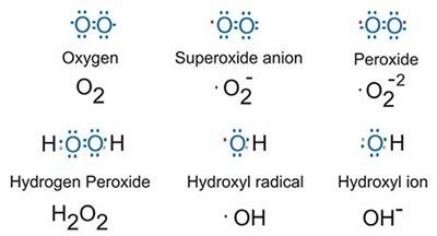 Oxidation states of Group 16 elements - W3schools