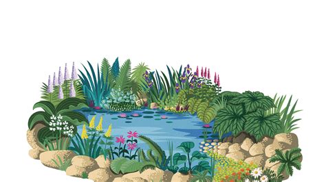 How to create a wildlife pond | House & Garden