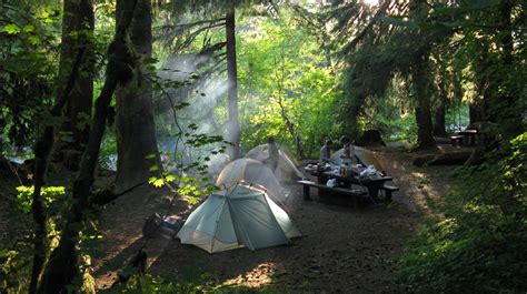 Olympic National Park Campgrounds | Pet Friendly Travel