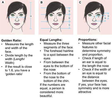 Golden Ratio Face Worksheet