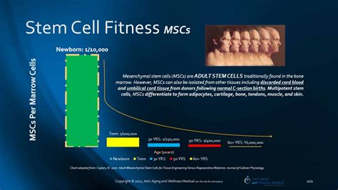 Cord Blood Stem Cells | High Potent Mesenchymal Cord Blood Stem Cells