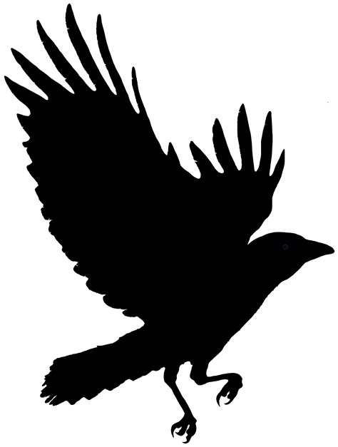 Images For > Flying Crow Design | Crow silhouette, Silhouette art, Crow