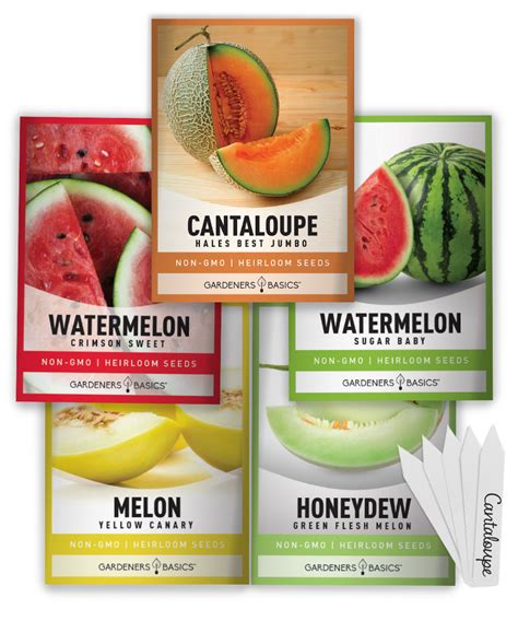 Grow Fresh Summer Melons with Our 5-Pack Melon Seeds Assortment ...