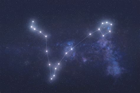 Pisces Constellation: Stars, Myth, and Location (2024) | Planet Guide