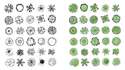 Landscape Design Symbols Adobe Illustrator