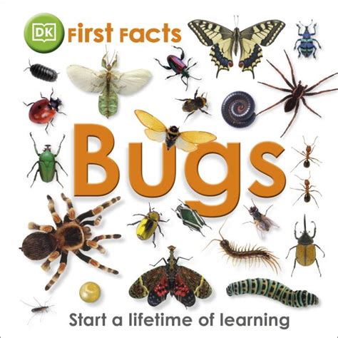 First Facts Bugs | DK UK