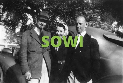 SOWI Meaning » What does SOWI mean? » Slang.org