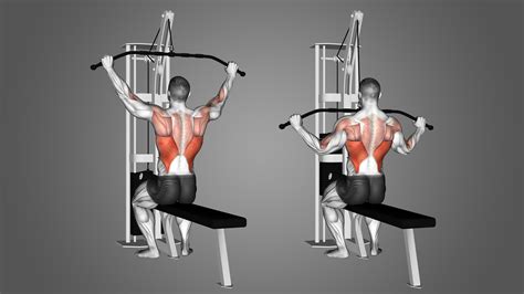 7 Lat Pulldown Alternatives for Huge Lats (with Pictures!) - Inspire US