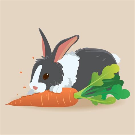 2,511 Carrots Eating Illustration Rabbit Royalty-Free Photos and Stock ...