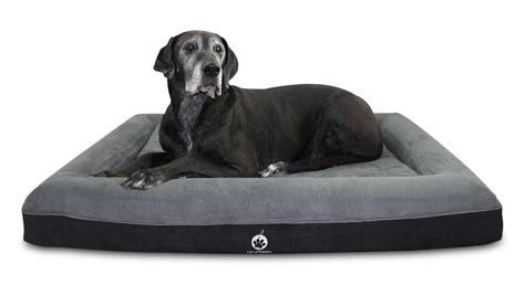 Extra Large Memory Foam Dog Beds Uk - Extra Large Orthopedic Dog Beds ...