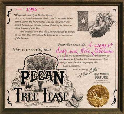 Pecan Tree | Rent Mother Nature