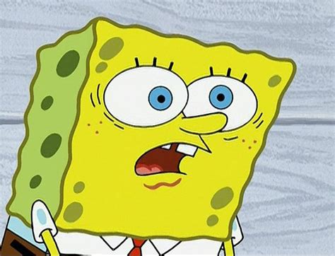 23 SpongeBob Reactions For Everyday Situations | Spongebob, Spongebob ...