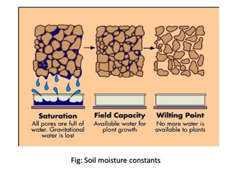 SOIL WATER- SATURATED AND UNSATURATED FLOW