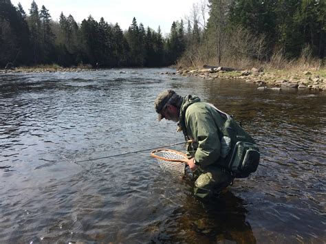 Photos Fly Fishing Rangeley Maine - Magalloway Guide Service