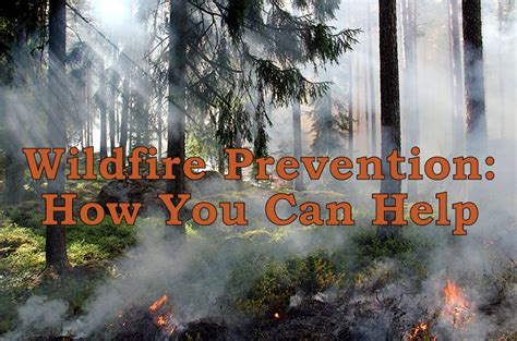 Wildfire Prevention: How You Can HelpCounting My Chickens