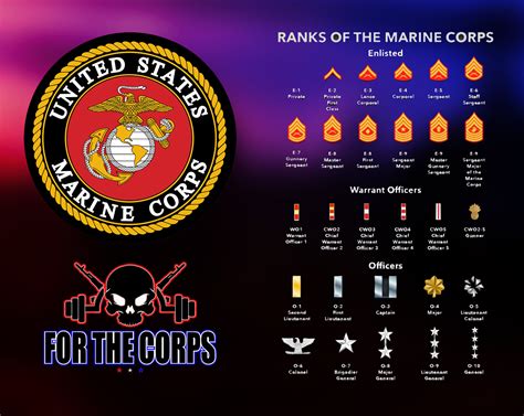 Ranks in the Marines | Enlisted and Officers Ranks Described! - For The ...