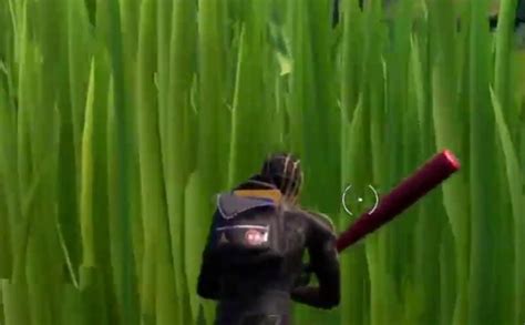 Where to Hide in Tall Grass for 10 Seconds Fortnite chapter 3 Locations ...