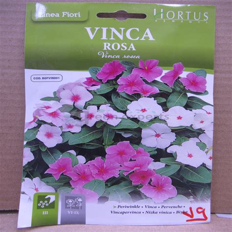 Vinca Seeds - Green Experts Landscape LLC